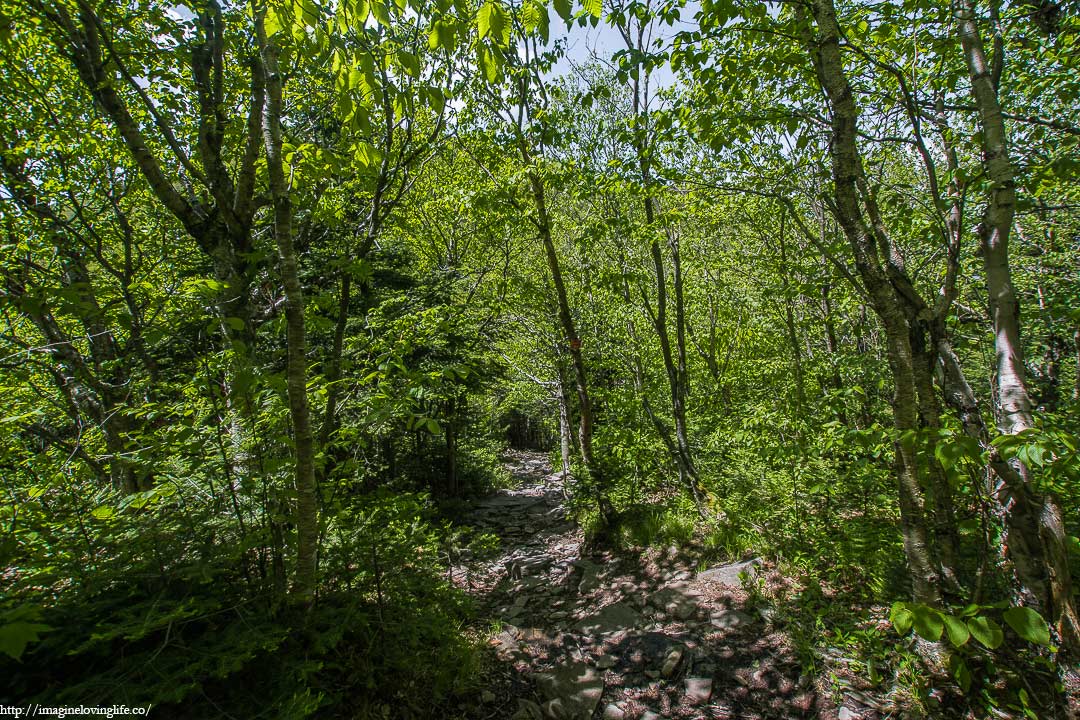 Red Trail Descending